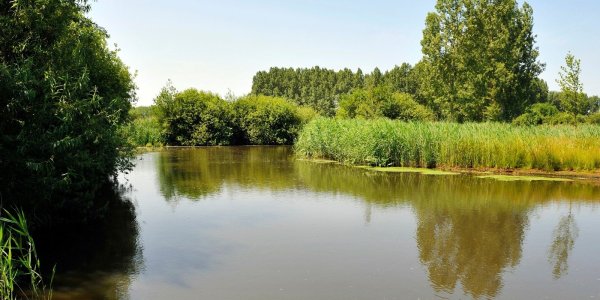 Foto: Waterschap nodigt bewoners Borkel en Schaft uit voor werksessie Dommeldal