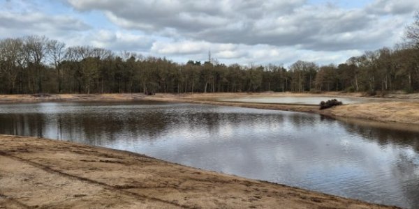 Foto: De Groote Meer in ere hersteld: natuur krijgt weer ruimte