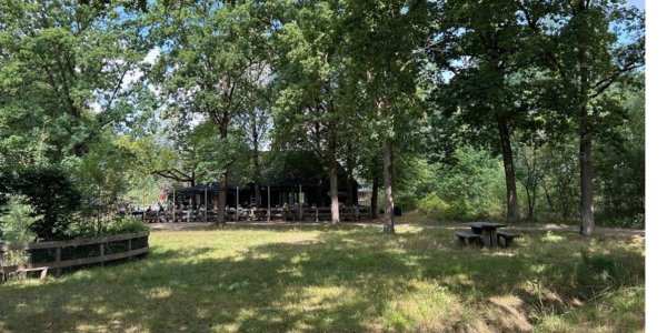 Foto: 21 april: Yoga-wandeling op de Strabrechtse Heide voor mantelzorgers